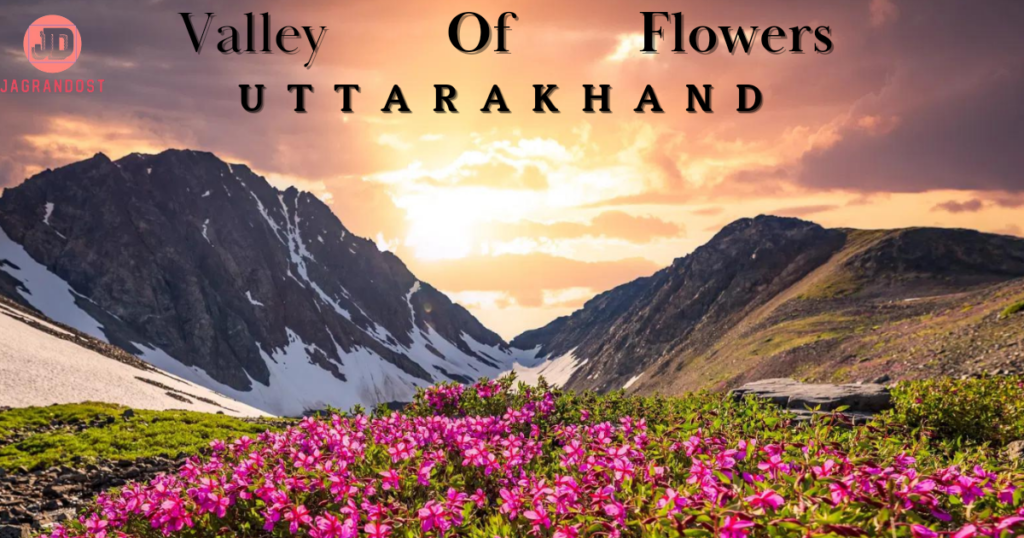 Best Places To Visit in India in September Valley of Flowers, Uttarakhand